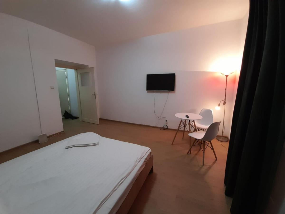 Piata Unirii- 1 Room Studio Apartment Temešvár Exteriér fotografie
