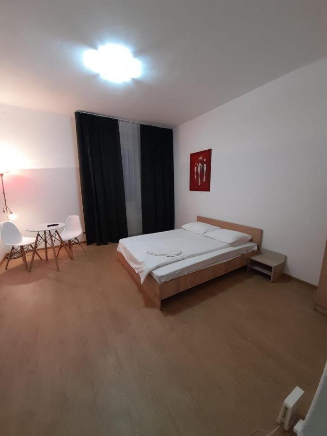 Piata Unirii- 1 Room Studio Apartment Temešvár Exteriér fotografie