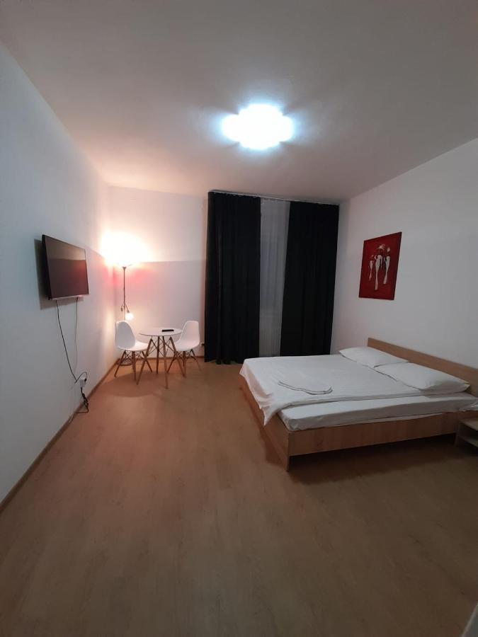 Piata Unirii- 1 Room Studio Apartment Temešvár Exteriér fotografie